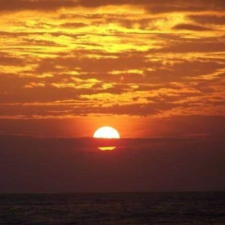 Ravana - Beach Cabanas Hikkaduwa Dış mekan fotoğraf
